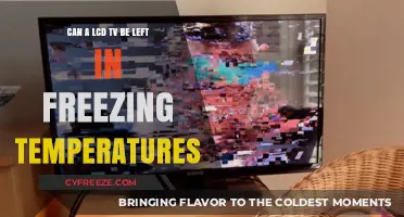 Can LCD TVs Survive Freezing Temps? Risks and Precautions