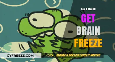 Can Lizards Get Brain Freeze? Exploring Cold-Blooded Reactions to Icy Treats