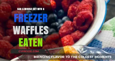 Can Mice Invade Freezer Waffles? Uncovering the Truth Behind Eaten Treats