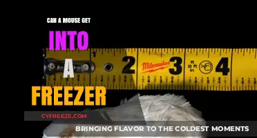 Can Mice Invade Your Freezer? Prevention Tips and Insights