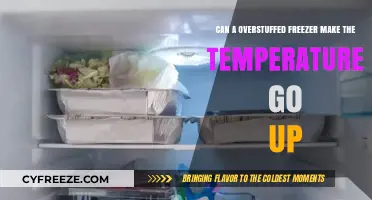 Overstuffed Freezer: Does It Raise Internal Temperature? Find Out Here