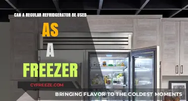 Can Your Regular Fridge Double as a Freezer? Find Out How