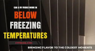 RV Fridge Functionality in Freezing Temps: What You Need to Know