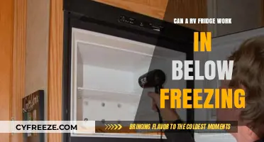 Chilling Adventures: Can Your RV Fridge Handle Below-Freezing Temps?