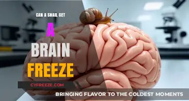 Can Snails Experience Brain Freeze? Exploring the Science Behind It