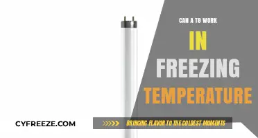 T8 Bulbs in Freezing Temps: Performance and Limitations Explained
