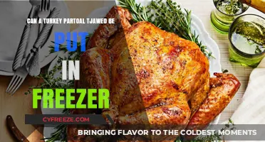 Freezing Partially Thawed Turkey: Safe Practices and Tips