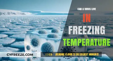 Can Viruses Survive in Freezing Temperatures? Unveiling the Cold Truth