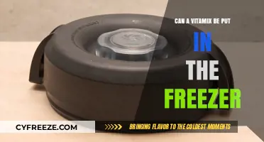 Blending Myths: The Truth About Freezing Your Vitamix
