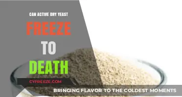 The Fate of Active Dry Yeast in Freezing Conditions: A Survival Guide