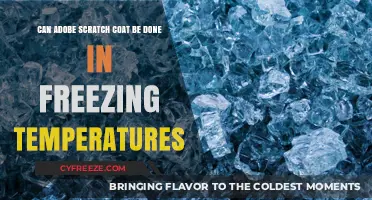 Applying Adobe Scratch Coat in Freezing Temperatures: Best Practices and Tips