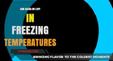 Can Alexa Survive Freezing Temps? Cold Weather Impact Explained