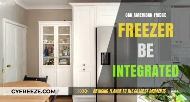 Seamless Integration: Can American Fridge Freezers Fit In?