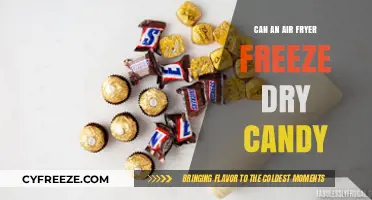 Sweet Experiments: Air Fryer vs. Freeze Dryer for Candy