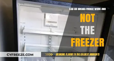 Troubleshooting Your Amana Fridge: Why the Freezer Might Not Be Working