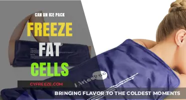 Exploring the Myth: Can Ice Packs Really Freeze Fat Cells?