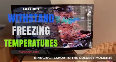 LED TVs in Freezing Temps: Durability and Survival Guide