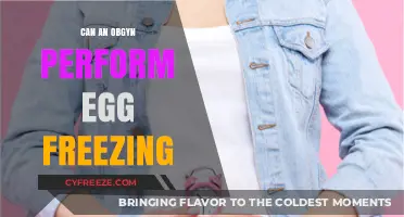 Can Your OBGYN Perform Egg Freezing? Expert Insights Explained
