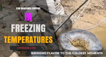 Can Anacondas Survive Freezing Temperatures? Unveiling Their Cold Tolerance Limits