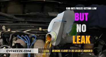 Low Antifreeze Levels Without Leaks: Causes and Solutions Explained