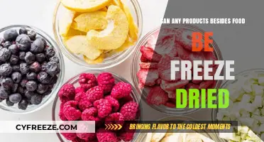 Exploring the Versatility of Freeze-Drying: Beyond Food Products