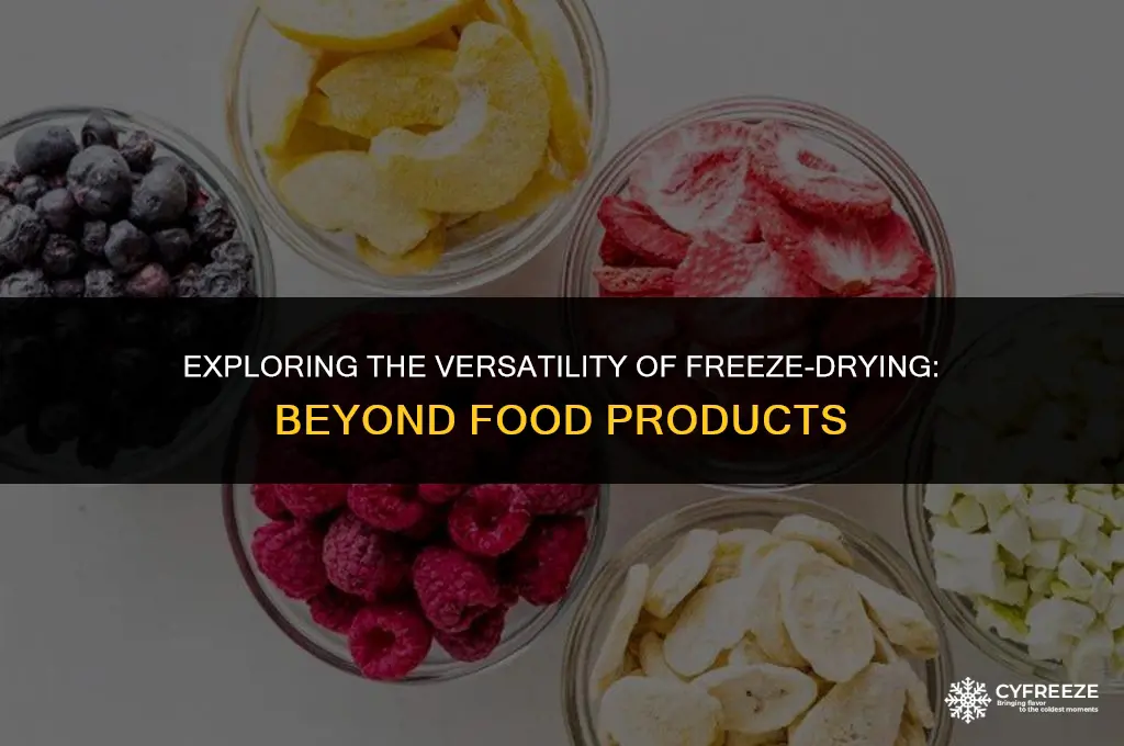 can any products besides food be freeze dried