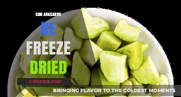 Exploring the Possibilities: Freeze-Drying Avocados for Longevity