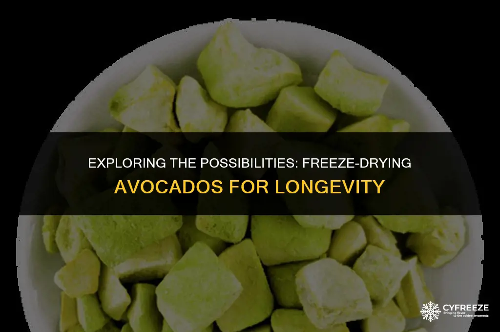 can avacados be freeze dried