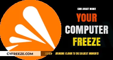 Can Avast Antivirus Cause Your Computer to Freeze?