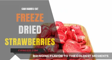 Tiny Tummies, Big Questions: Freeze-Dried Strawberries for Babies?