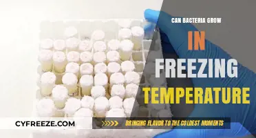 Can Bacteria Survive and Thrive in Freezing Temperatures?