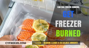 Can Bagged Frozen Dinners Get Freezer Burn? Prevention Tips
