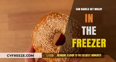 Can Bagels Mold in the Freezer? Storage Tips and Facts