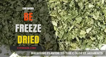 Exploring the Possibilities: Can Basil Be Freeze-Dried?