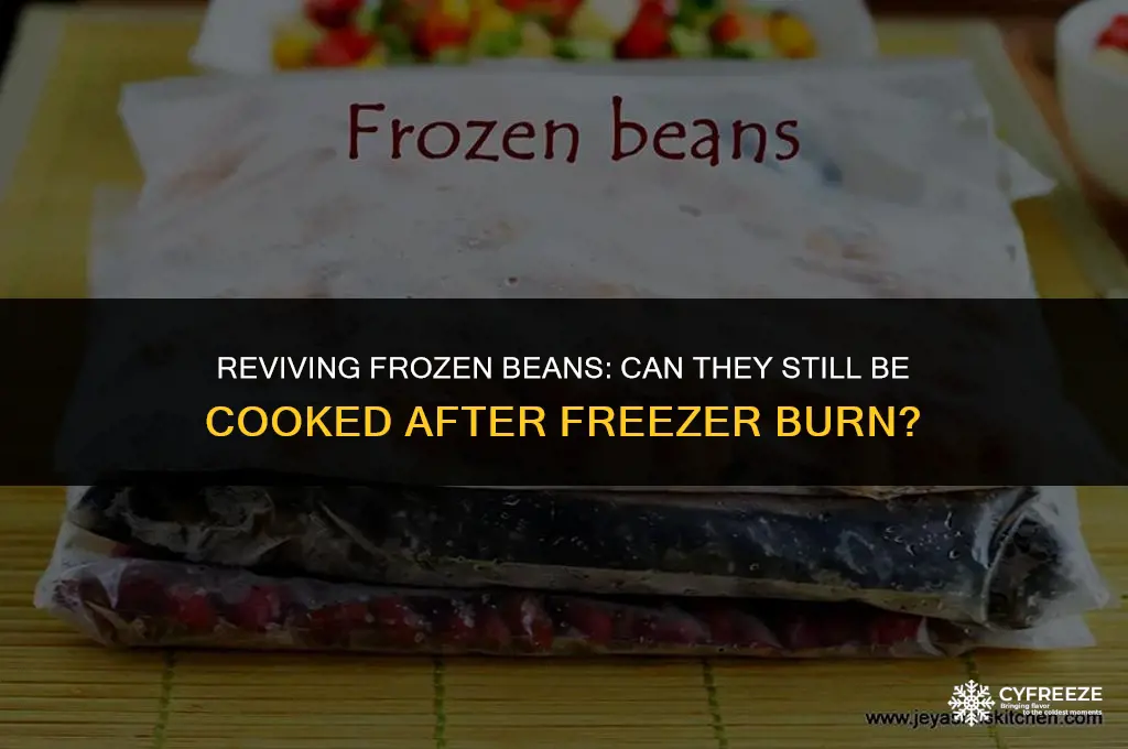 can beans still be cooked after freezer burn