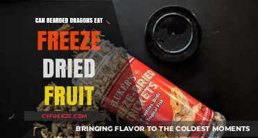 Exploring Bearded Dragons' Diets: The Freeze-Dried Fruit Debate
