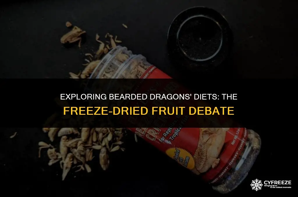 can bearded dragons eat freeze dried fruit