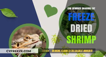Can Bearded Dragons Eat Freeze-Dried Shrimp? A Nutritional Guide