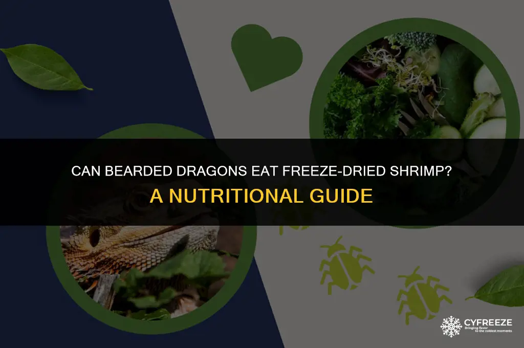can bearded dragons eat freeze dried shrimp