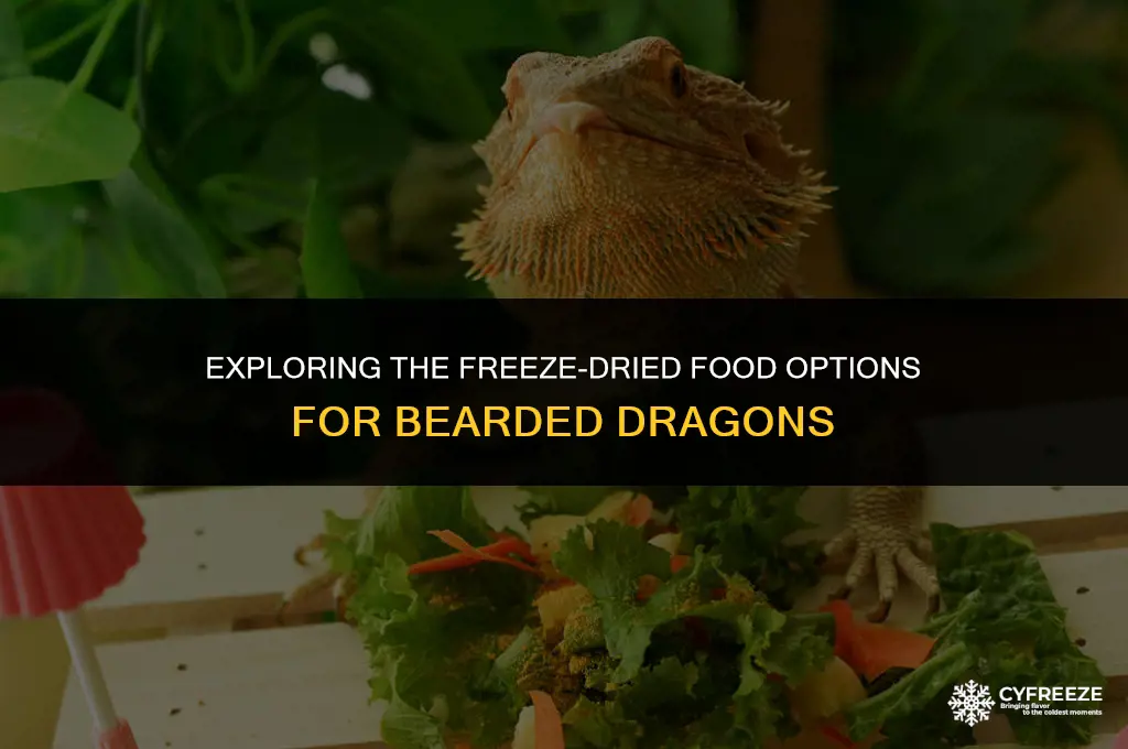 can beardies eat freeze dried