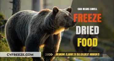 Can Bears Detect Freeze-Dried Food? A Myth-Busting Guide