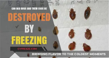 Freezing Bed Bugs: Effective Method to Kill Bugs and Eggs?