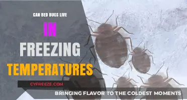 Can Bed Bugs Survive Freezing Temperatures? The Chilling Truth