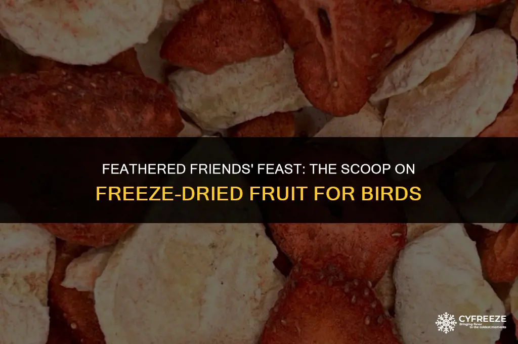 can birds eat freeze dried fruit