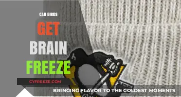 Can Birds Get Brain Freeze? Unraveling the Myth and Science
