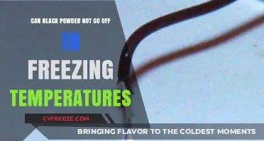 Does Black Powder Fail to Ignite in Freezing Temperatures?
