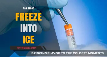 Exploring the Science: Can Blood Freeze into Ice?
