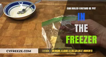 Freezing Boiled Custard: A Handy Guide for Leftovers