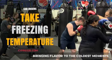 Boxers and Freezing Temps: Can They Safely Train in Cold Weather?