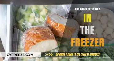 Can Bread Mold in the Freezer? Debunking Common Food Storage Myths